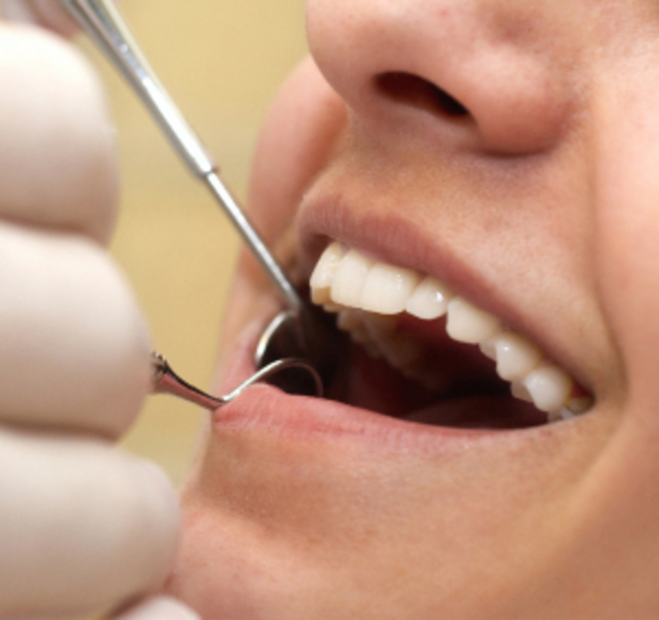 Conservativa Conservativa