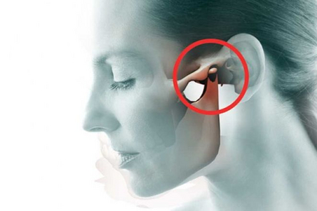 gnatologia Gnatologia