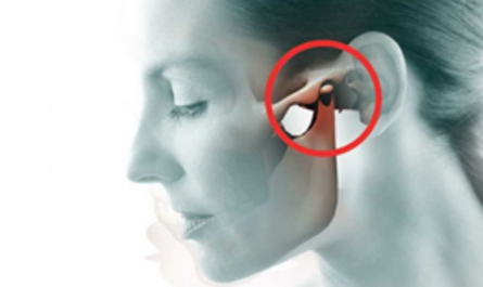 Gnatologia Gnatologia